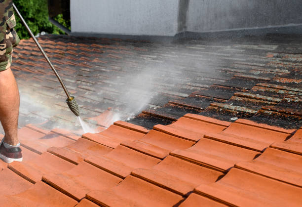Best Residential Pressure Washing Services  in Osgood, IN